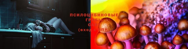 кокаин колумбия Алексин