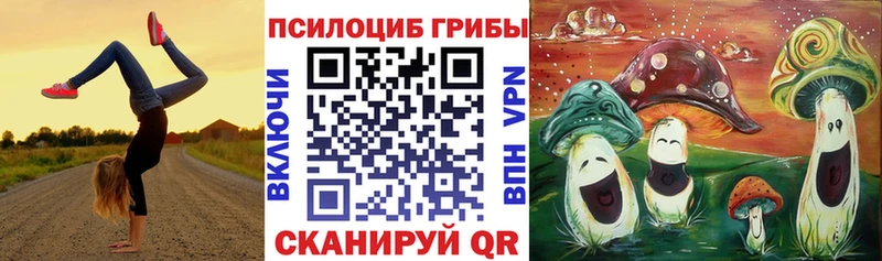 дарнет шоп  Орлов  Галлюциногенные грибы Magic Shrooms 