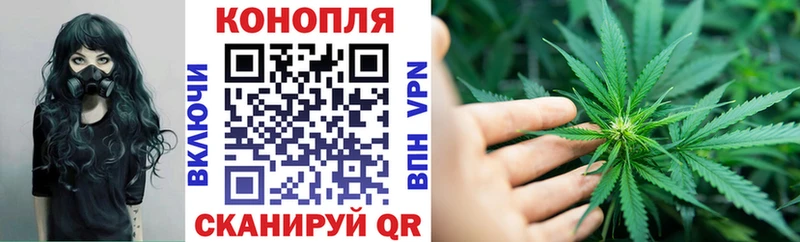 МАРИХУАНА семена  blacksprut ссылка  Орлов 